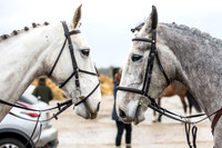 Essex Hunt Warwick-15