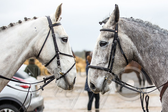 Essex Hunt Warwick-15
