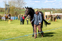 point to point 2015-16