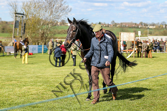 point to point 2015-16