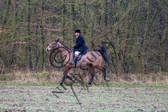 Essex Hunt 28.2.15-50
