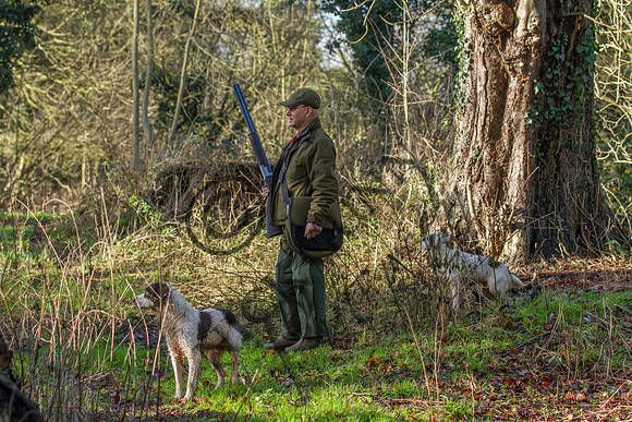 Sheering Shoot 13.1.15-8