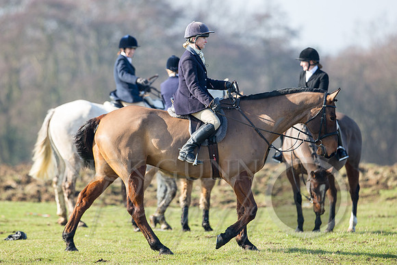 Essex Hunt 13.2.17 -12