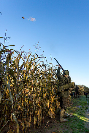 schwier shoot 11.17-20