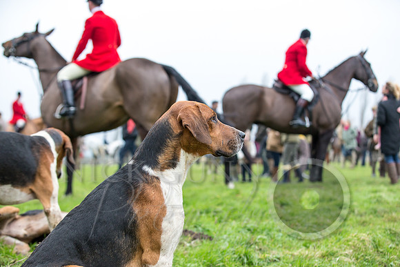 Essex Hunt 1.1.15-24