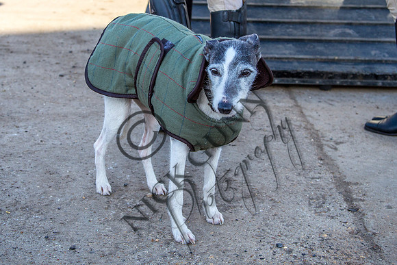 Essex Hunt 2.2.15-4