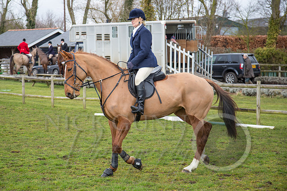 Essex Hunt 25.2.15-15