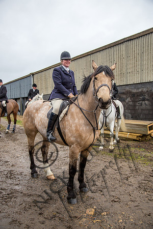 Essex Hunt 28.2.15-15