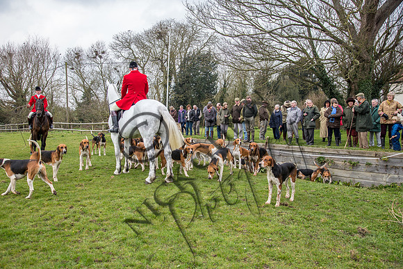 Essex Hunt 16.3.15-18