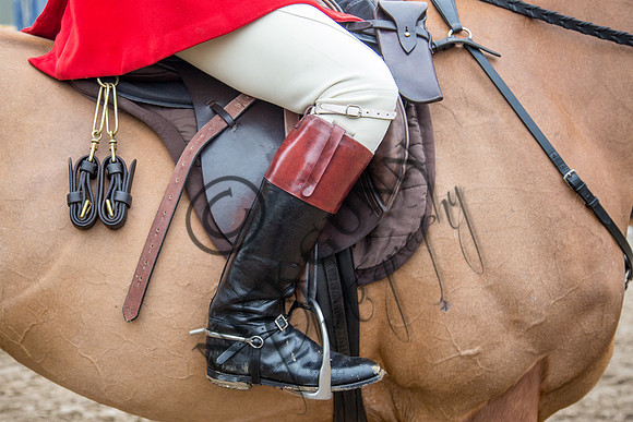 Essex Hunt 11.2.15-5