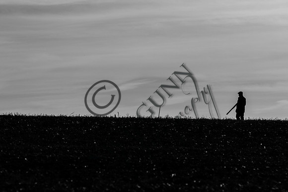 Schwier Farm 25.11.16-25
