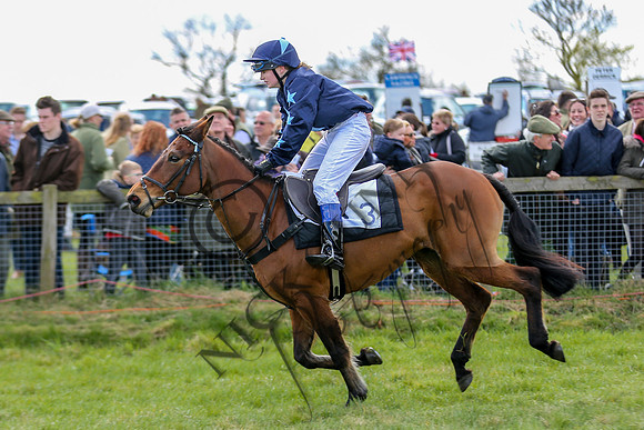 point to point 2015-12