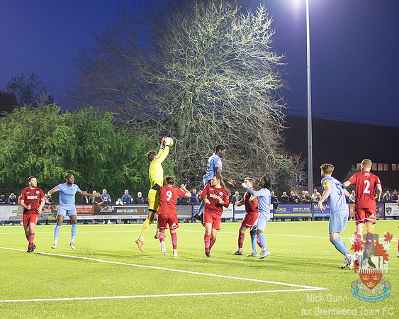 BTFC TIL-29