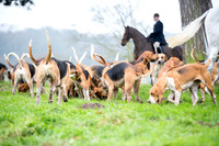 Essex Hunt 1.1.15-20