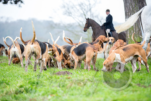 Essex Hunt 1.1.15-20