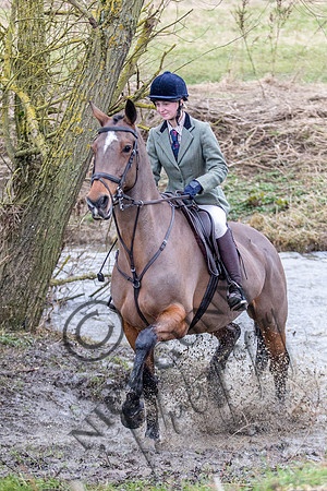 Essex Hunt 11.2.15-28