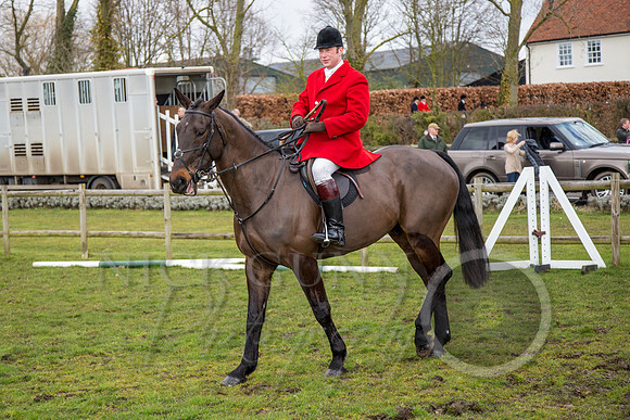 Essex Hunt 25.2.15-25