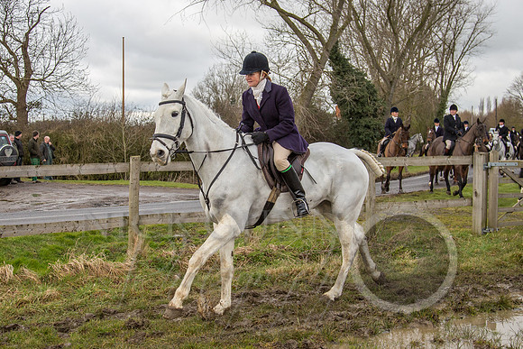 Essex Hunt 25.2.15-74